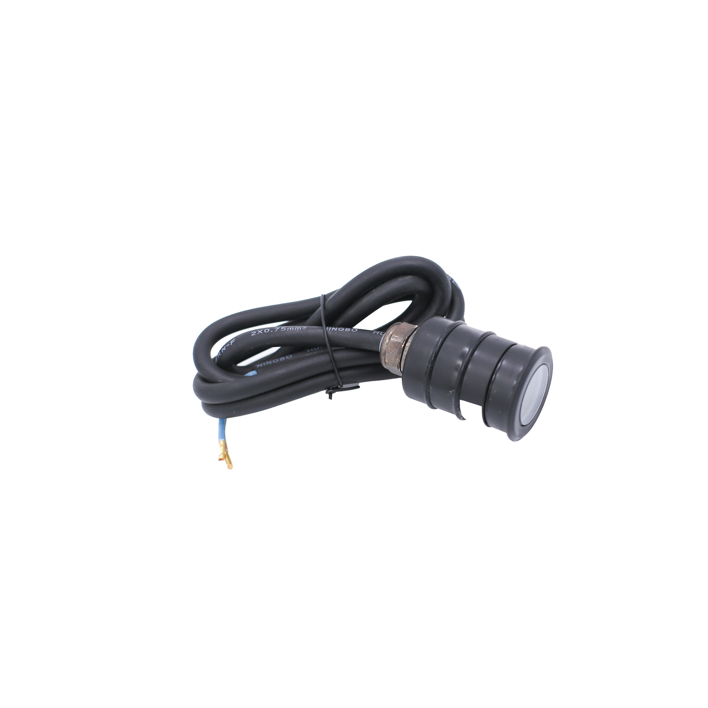 Luz Black Brass Mini In Ground Well Light
