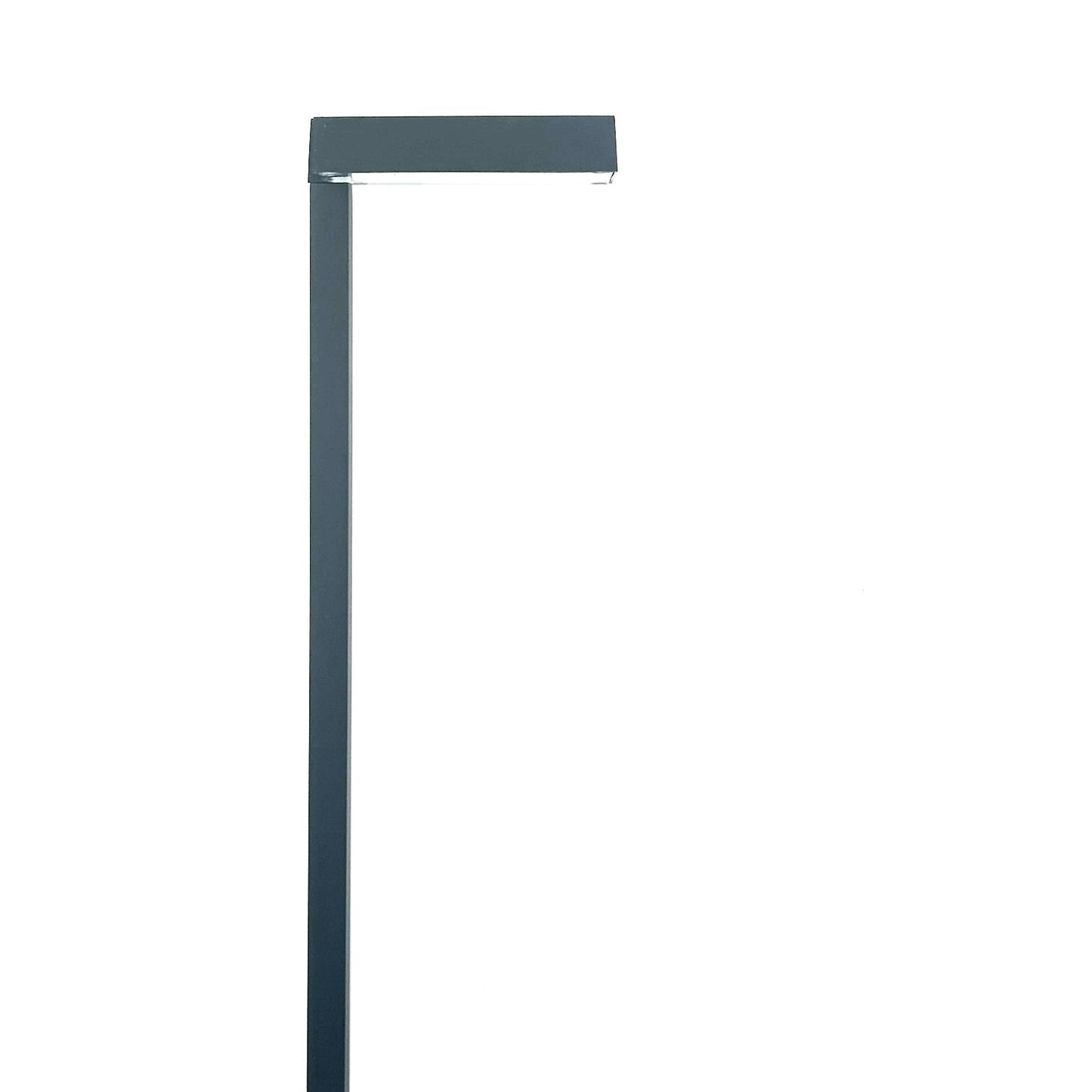 Flat Hat Aspen Black Brass Pathlight