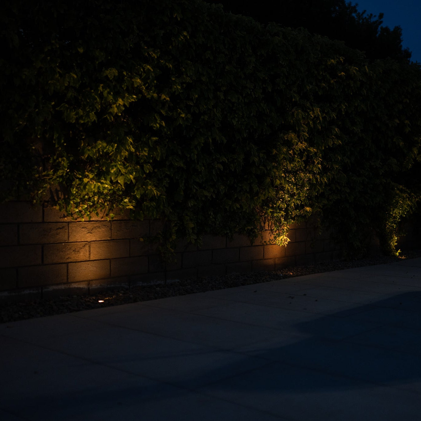 Stelvio Black Well Light