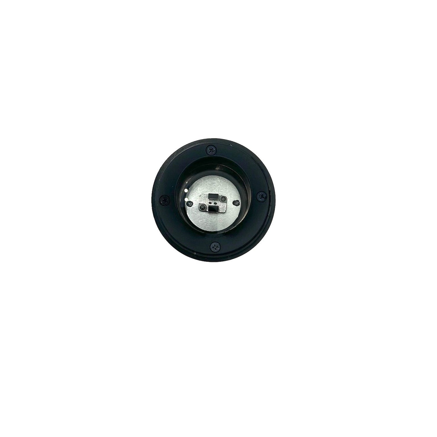 Palomar Black Brass In-Ground Well Light