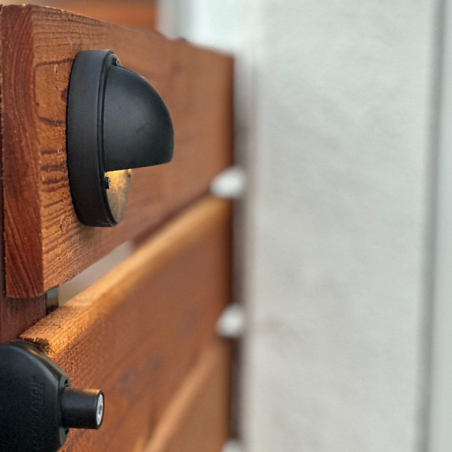Rein Black Brass Deck Light