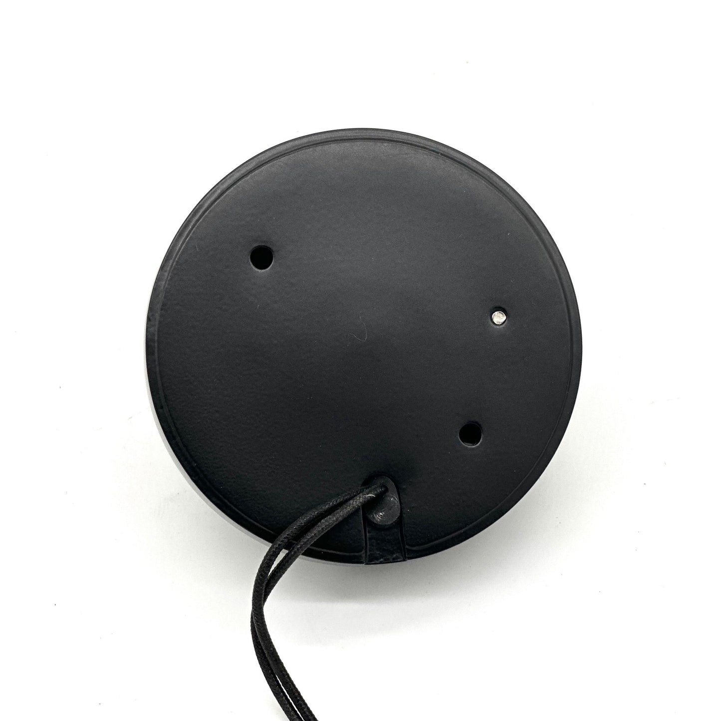 Rein Black Brass Deck Light