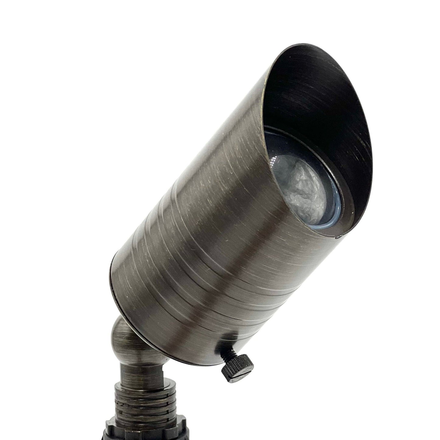 Rein Brown Brass MR8 Spotlight