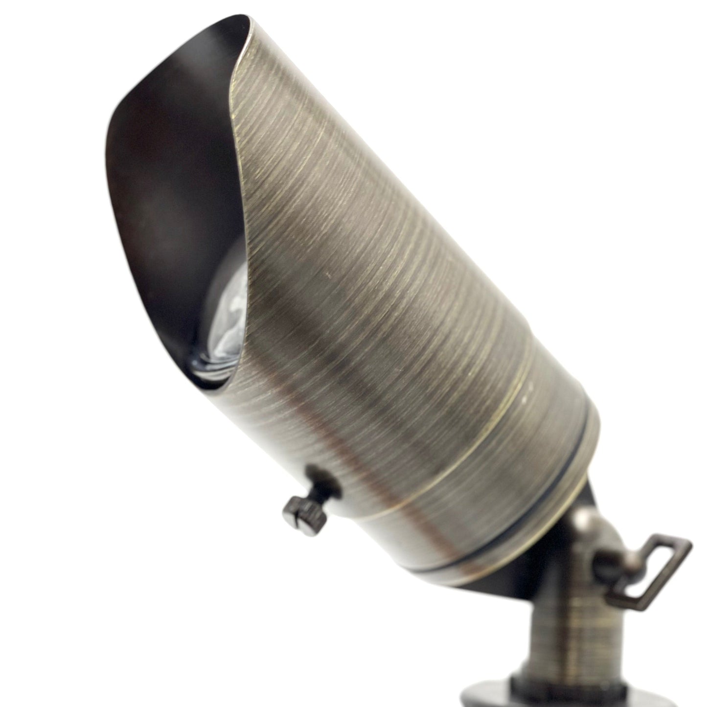 Rein Adjustable Brown Brass Spotlight