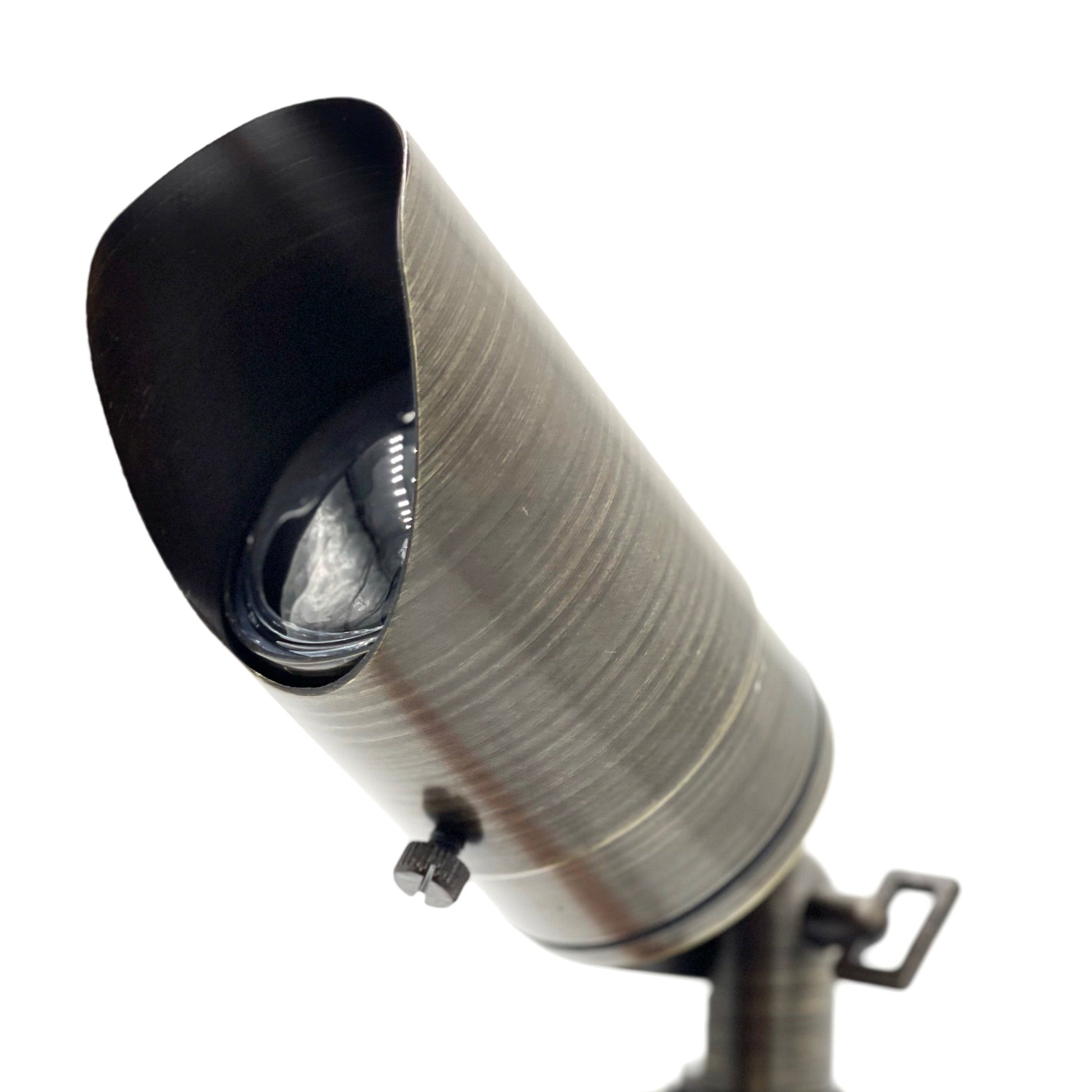 Rein Adjustable Brown Brass Spotlight