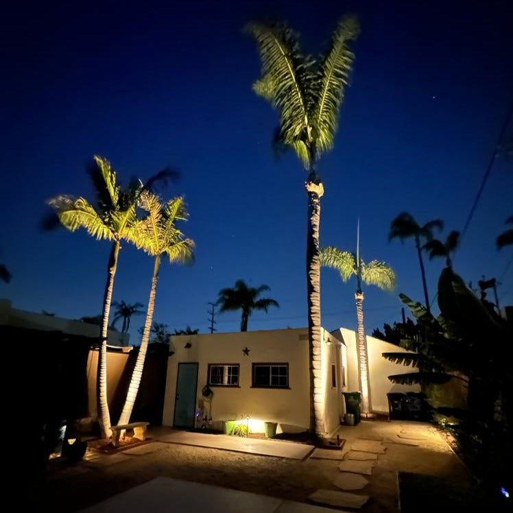 Stelvio Black Brass Spotlight