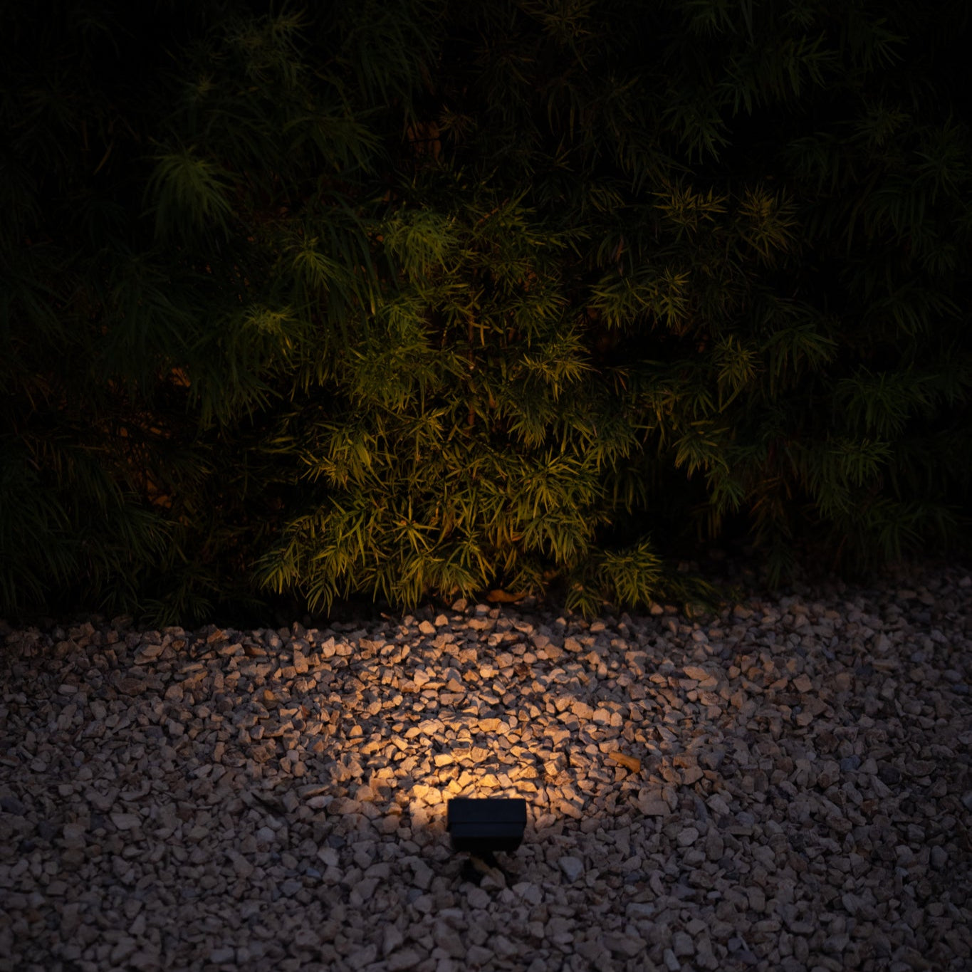 Rein Bronze Squared Flood Light
