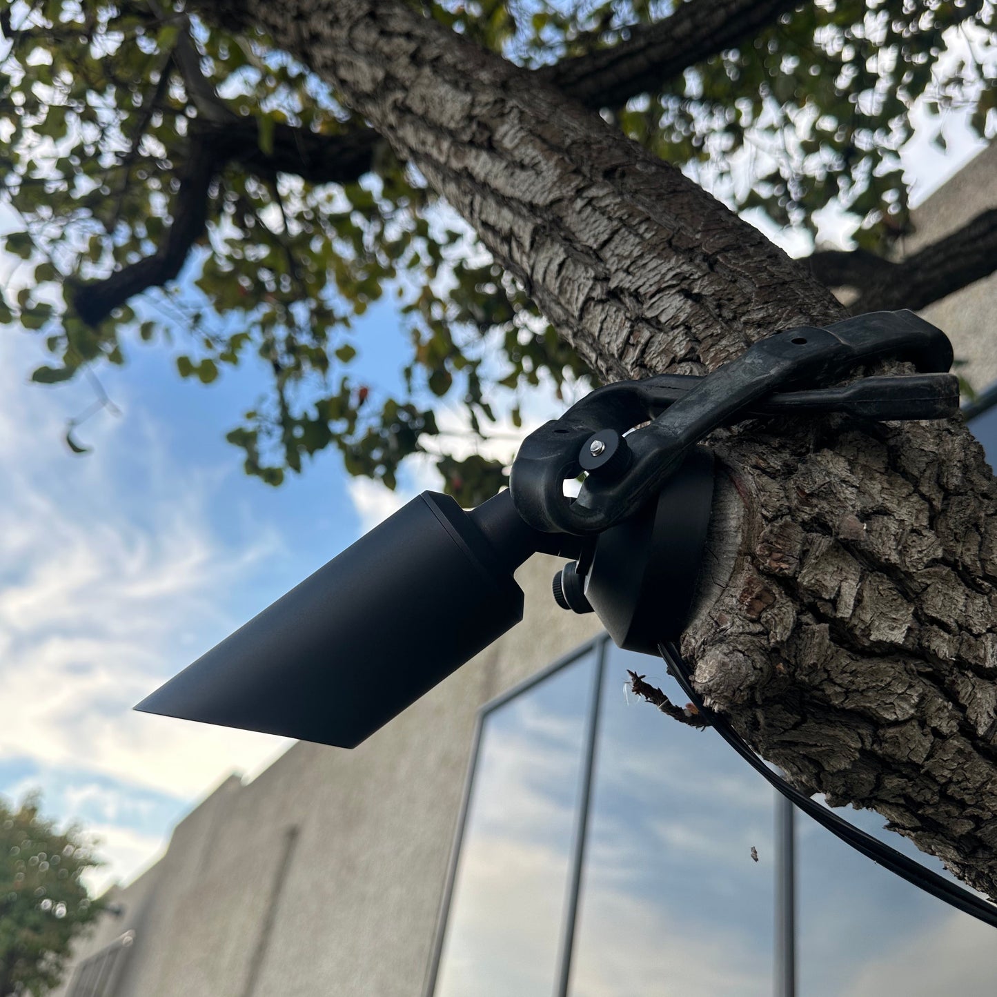 Stelvio Black Brass Down Light