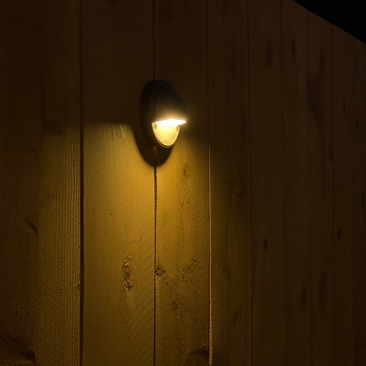 Rein Brass Deck Light