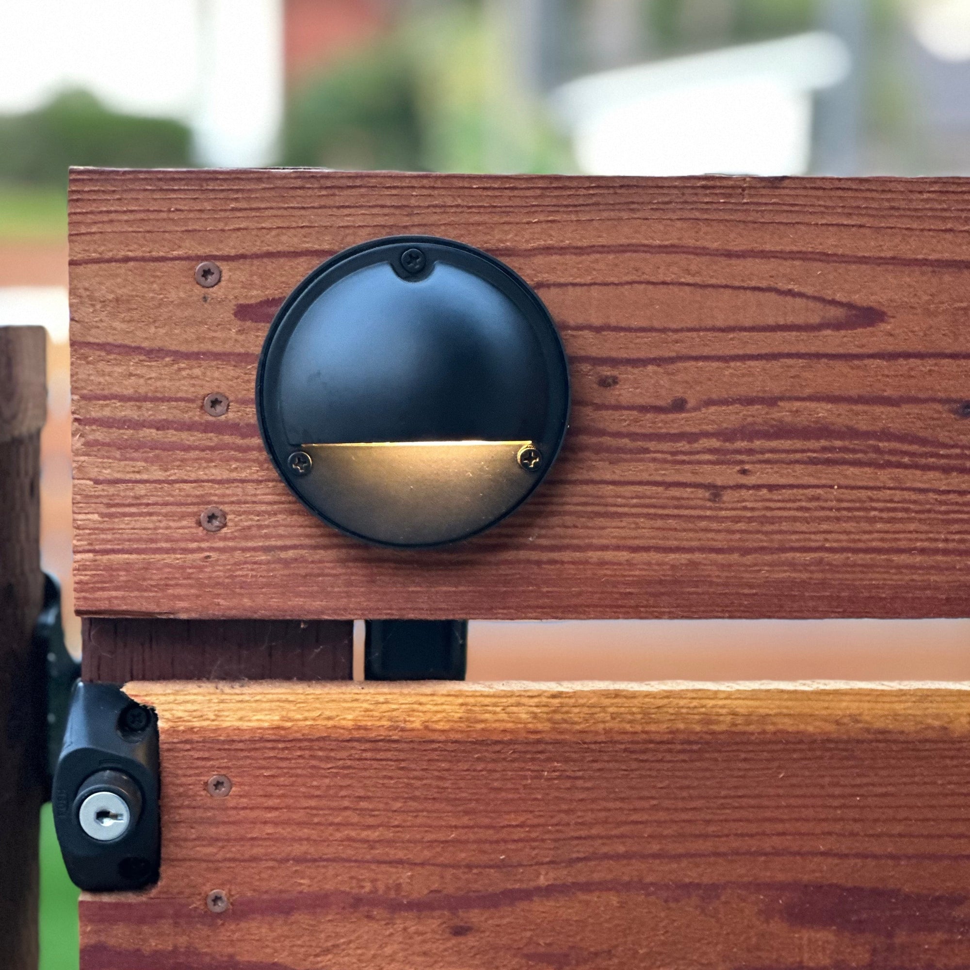 Rein Black Brass Deck Light