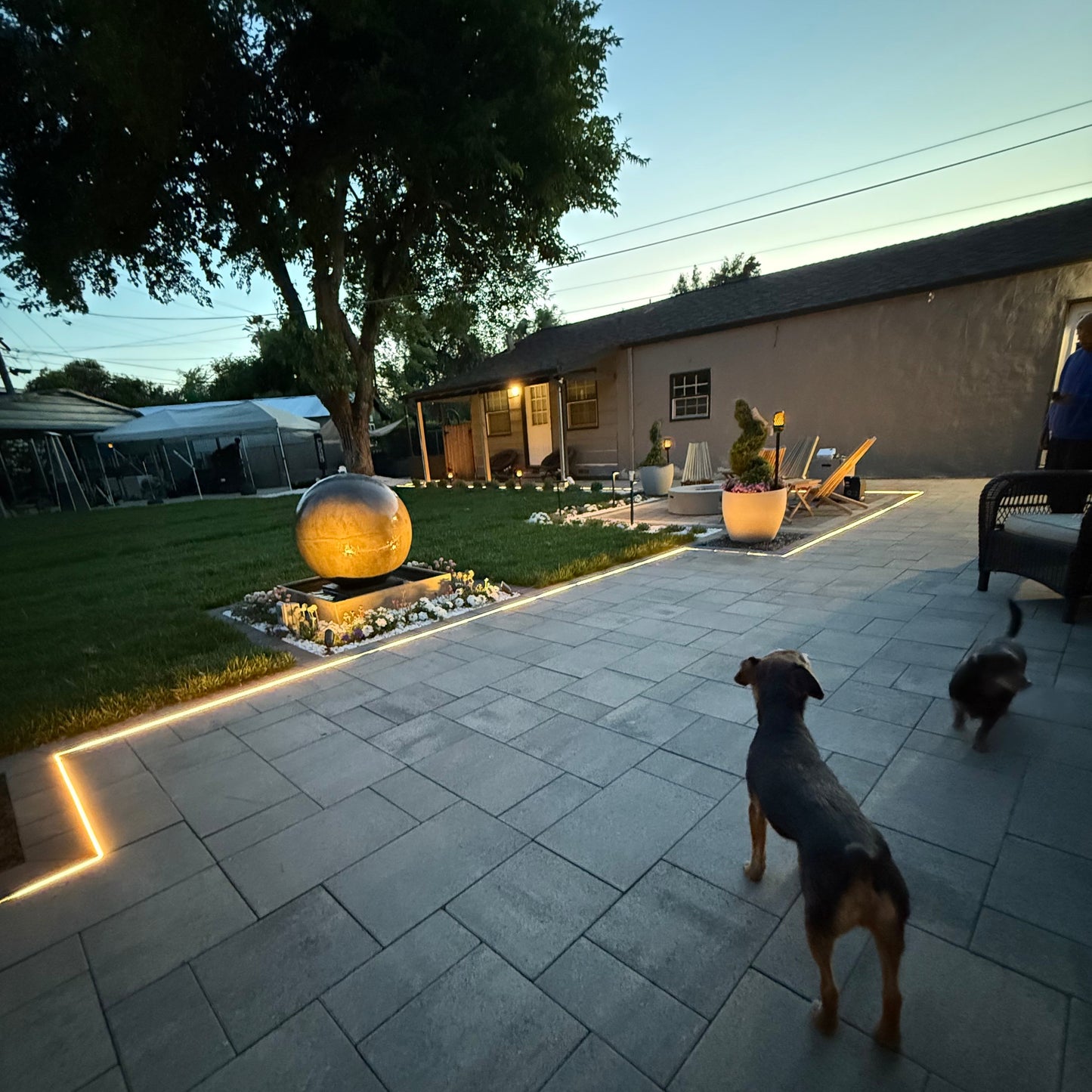 Neon Side Flex 0612 Strip Light 16'-82' 24VDC