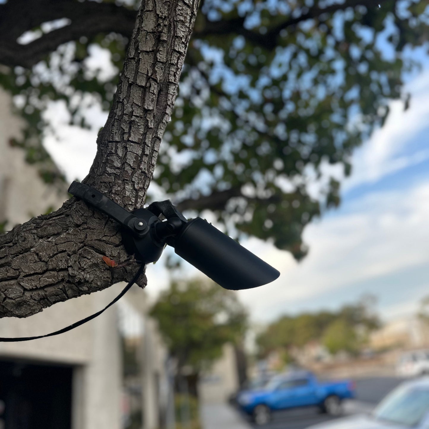 Tree Strap Mount