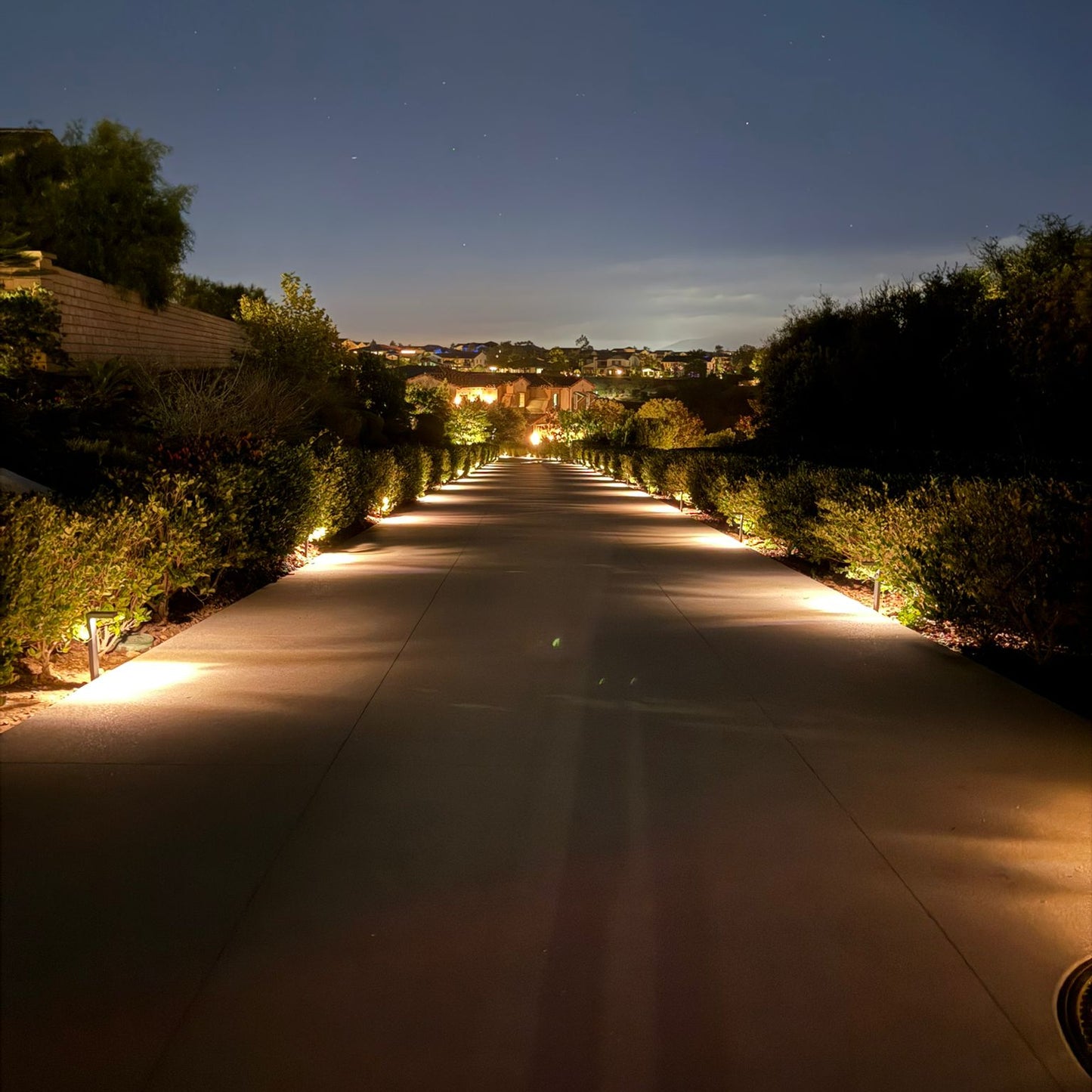 Palomar Black Brass Path Light